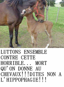 dite non a l'hippophagie